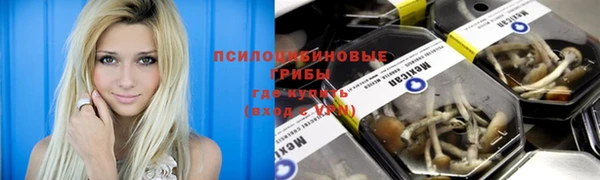 мдпв Алексин