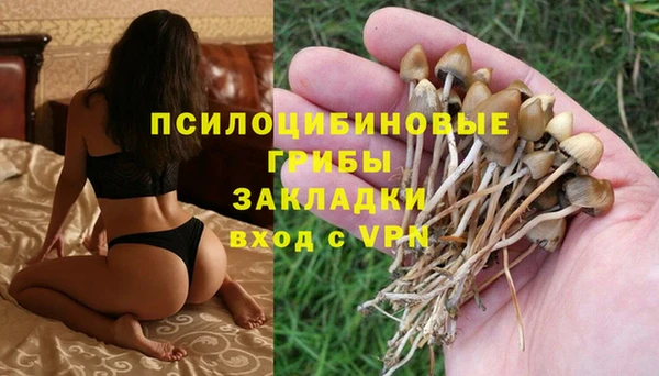 ALPHA PVP Алексеевка