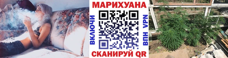 Марихуана семена  Цоци-Юрт 